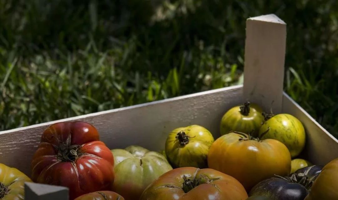 “Digues adeu als tomàquets insípids”