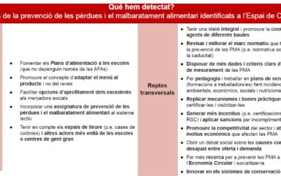 “El CoDiNuCat participa en les sessions del Pla Estratègic per a la Prevenció de les Pèrdues i el Malbaratament Alimentari de Catalunya”
