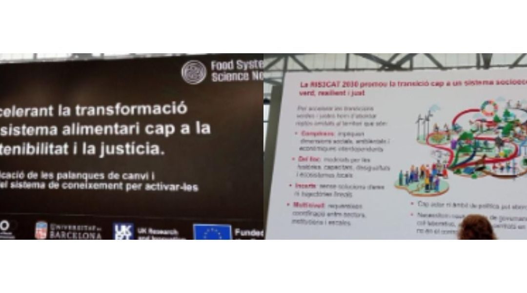 “El Codinucat participa en el taller per accelerar la transformació del sistema alimentari cap a la sostenibilitat i la justícia”