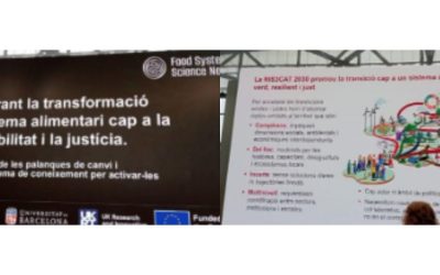 “El Codinucat participa en el taller per accelerar la transformació del sistema alimentari cap a la sostenibilitat i la justícia”
