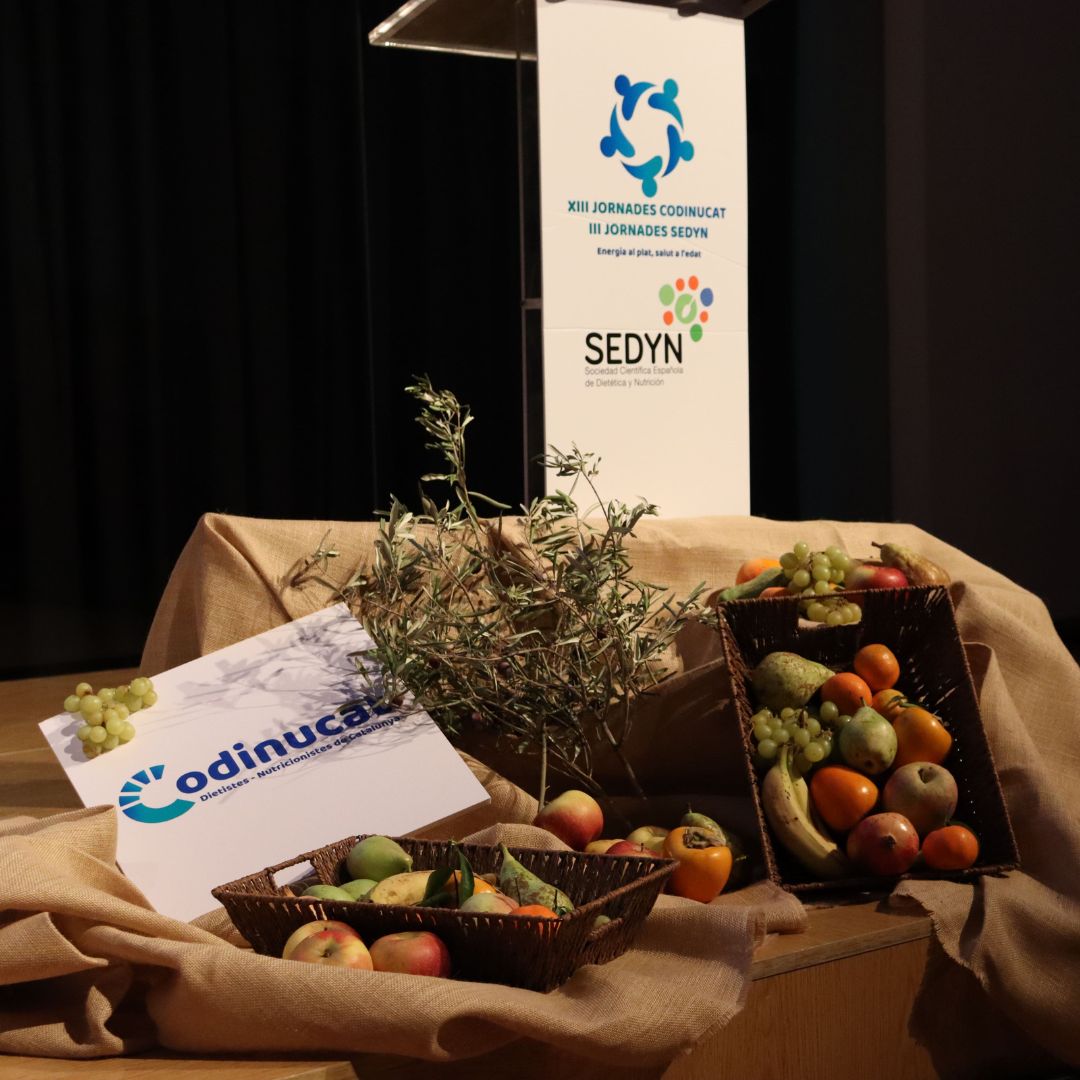 NOTÍCIES CODINUCAT (4)